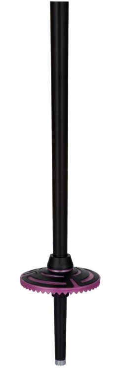 Stöcke Rossignol Electra Premium Purple 5 Stöcke Rossignol Electra Premium Purple -Rossignol 8a3192a76ec9ef36790167730b6c7127c902c728 H24ROSSBAT3390233 901